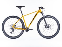 Kolo ROZZO 22 BOOST 20 zlat metalza