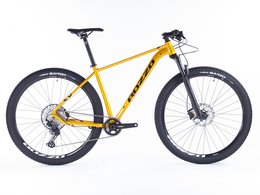 Kolo ROZZO 22 BOOST 30 zlatá metalíza